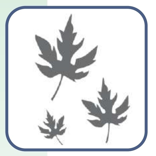 شابلون طرح برگ کد 61 سایز 40 در 60