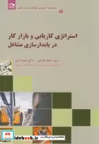 خرید کتاب استراتژی کاریابی و بازارکار در پایدارسازی مشاغل | ایده بوک