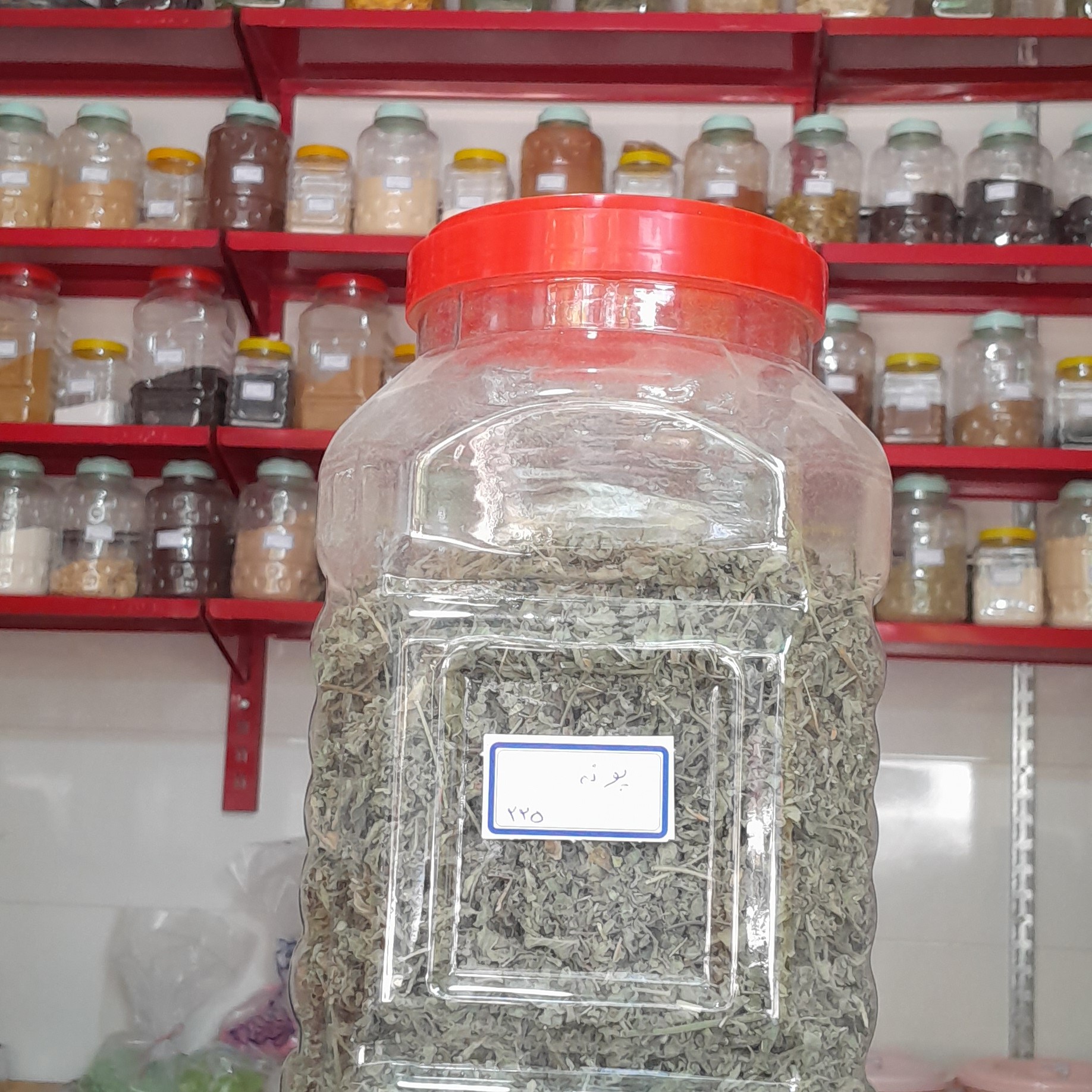 گیاه پونه 75 گرمی