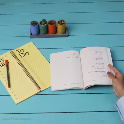 کتاب آدم ها روی پل اثر ویسواوا شیمبورسکا نشر مرکز
