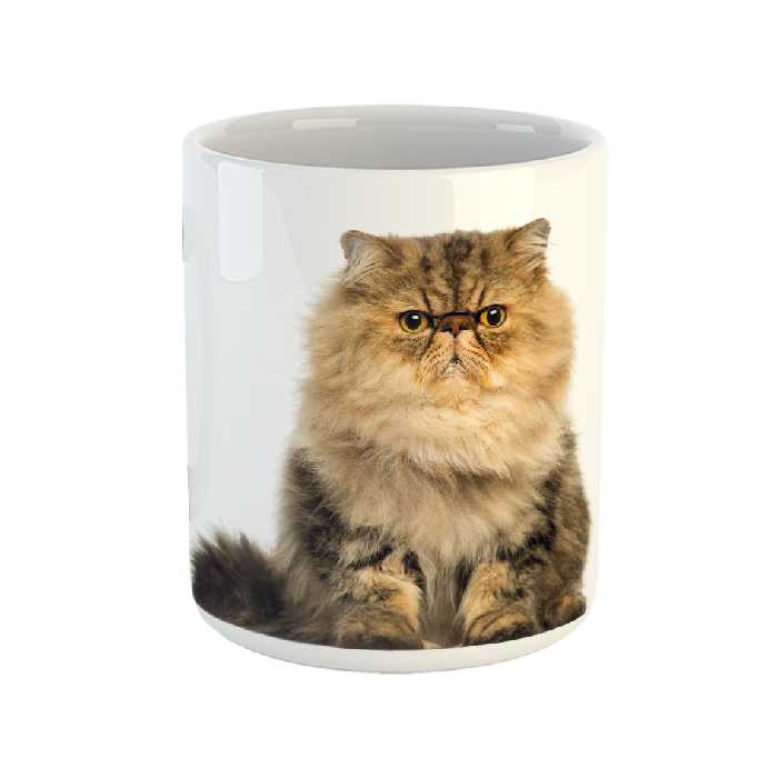 ماگ طرح گربه مدل persian cat