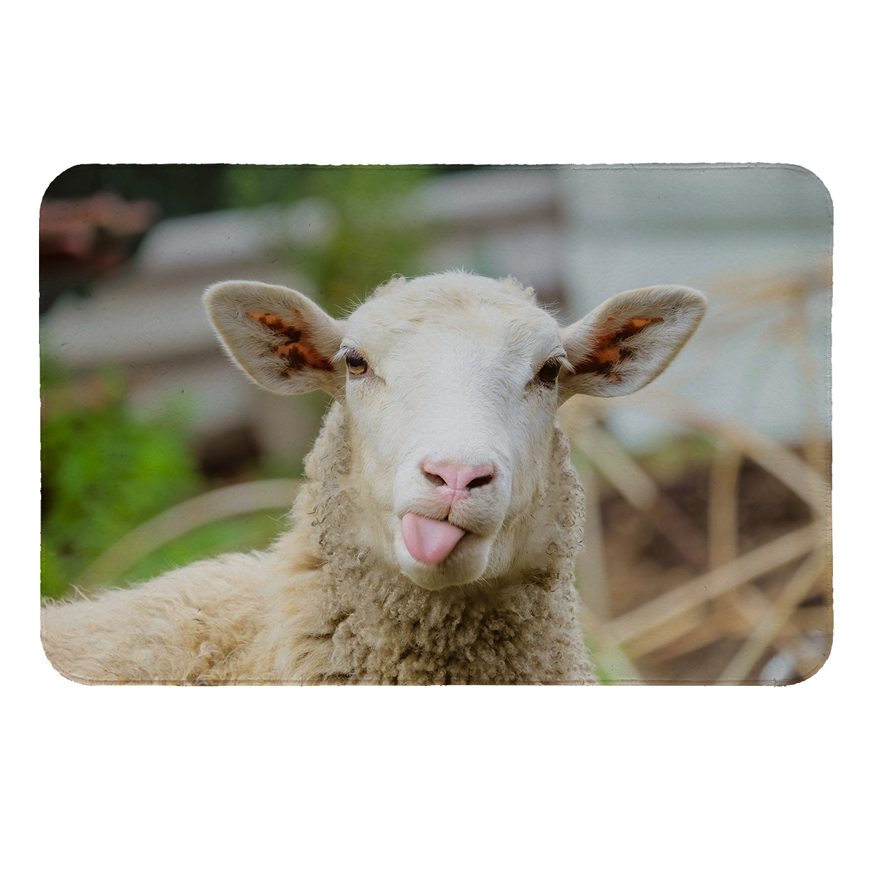 رطوبت گیر کنار سینک کد 6198