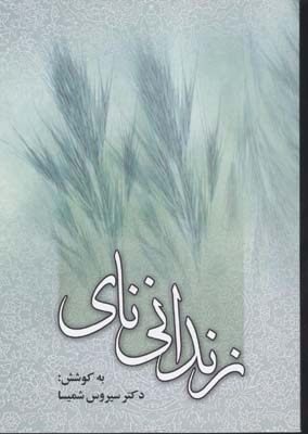 زندانی نای