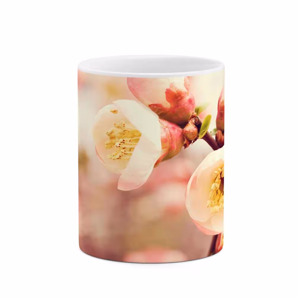 ماگ طرح شکوفه گل مدل mgs12077