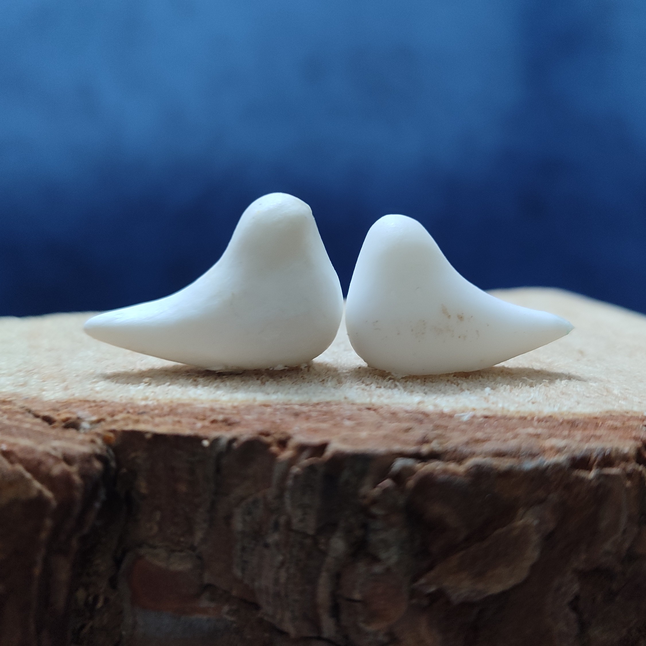 پرنده مینیاتوری 10تایی