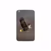 برچسب پوششی ماهوت مدل Eagle مناسب برای تبلت سامسونگ Galaxy Tab 3 8.0 2013 T315