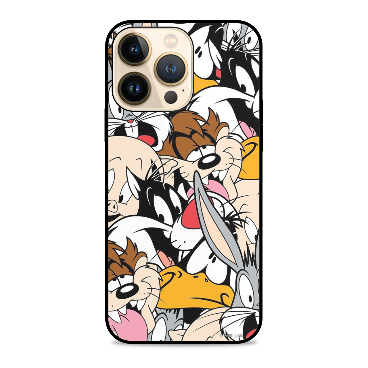 کاور آکام مدل AMCA13Pro2085 مناسب برای گوشی موبایل اپل iPhone 13PRO