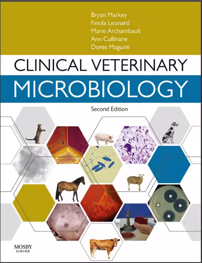 خرید و دانلود نسخه کامل کتاب Clinical Veterinary Microbiology 2nd Edition - 2013 - PDF