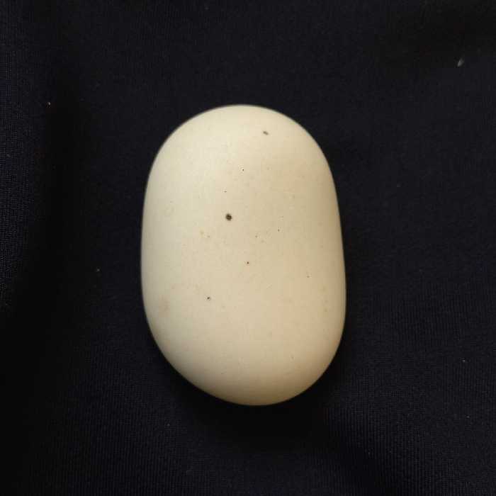 سنگ آسیاب 05 با هدیه