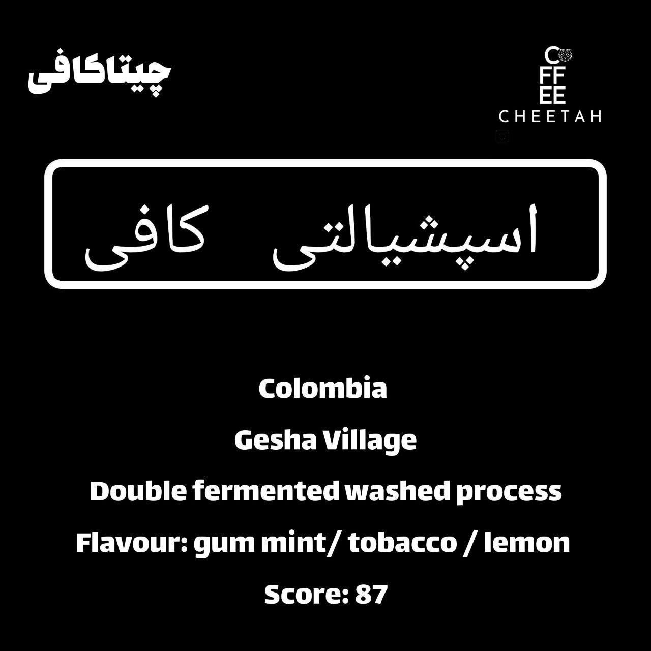 قهوه تخصصی کلمبیا گیشا فرآوری واشد