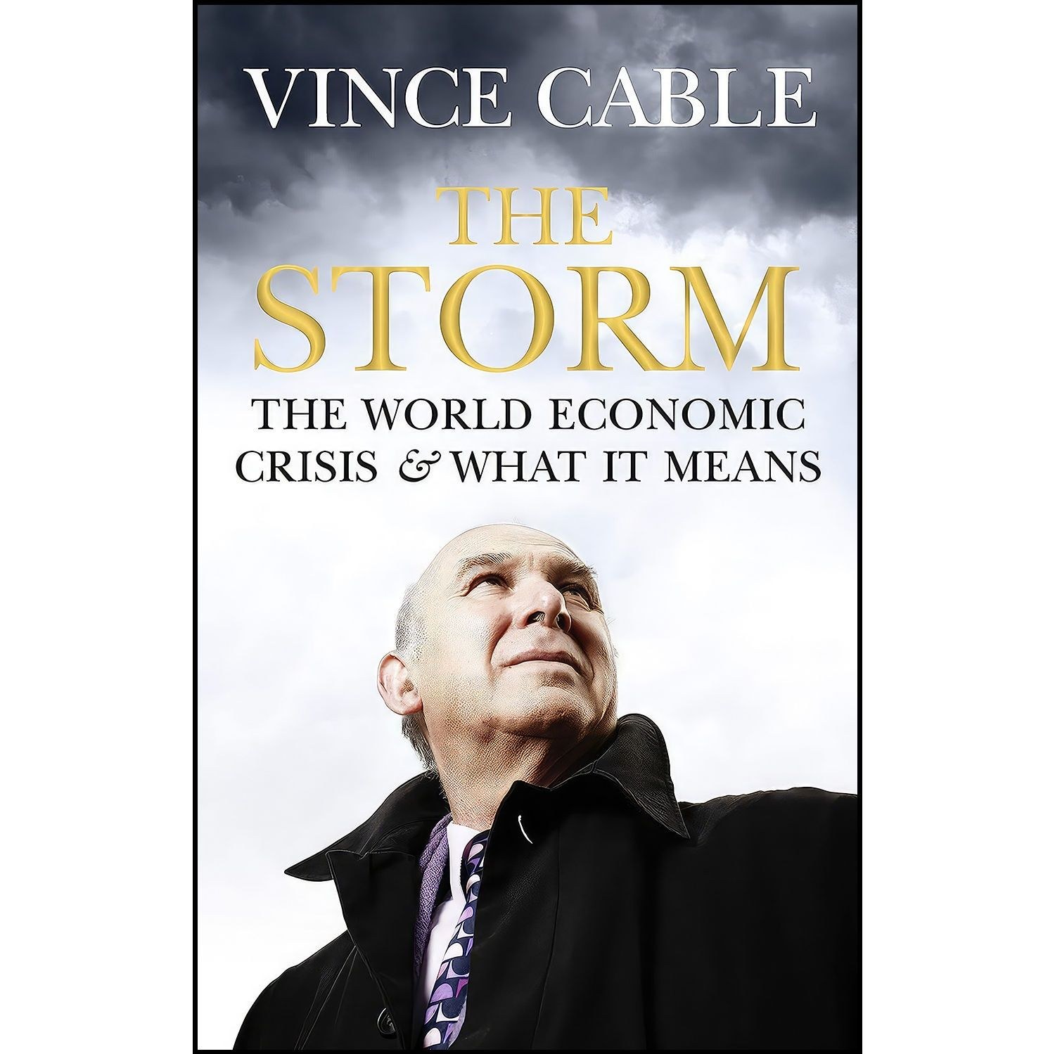 کتاب زبان اصلی The Storm اثر Vincent Cable