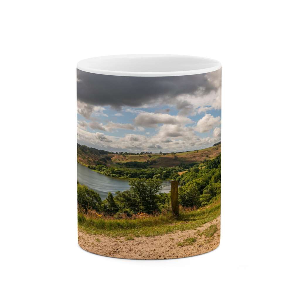 ماگ کاکتی طرح منظره مدل mgs13202