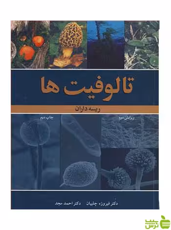تالوفیت ها ریسه داران احمد مجد آییژ - سیب ترش - SibTorsh