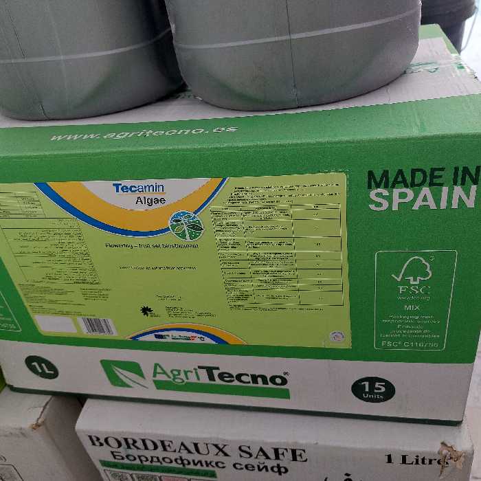 جلبک دریایی اسپانیایی