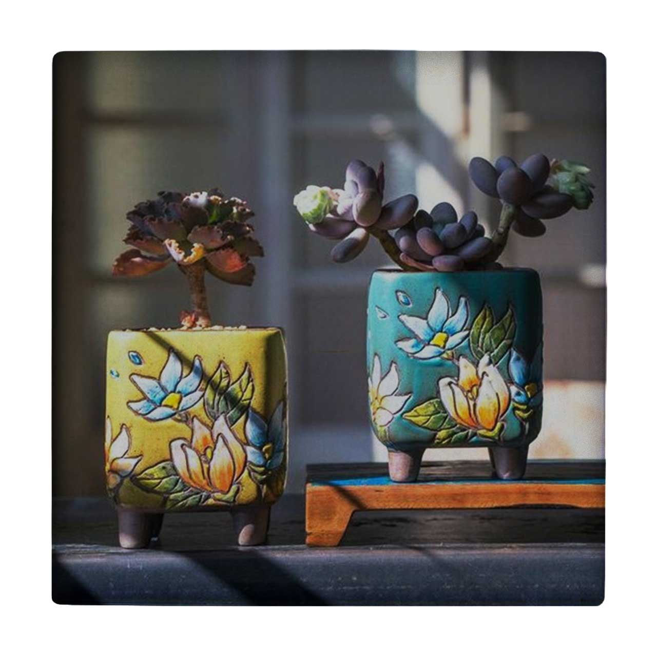 زیر لیوانی طرح گلدان های کاکتوس کد    3238081_338