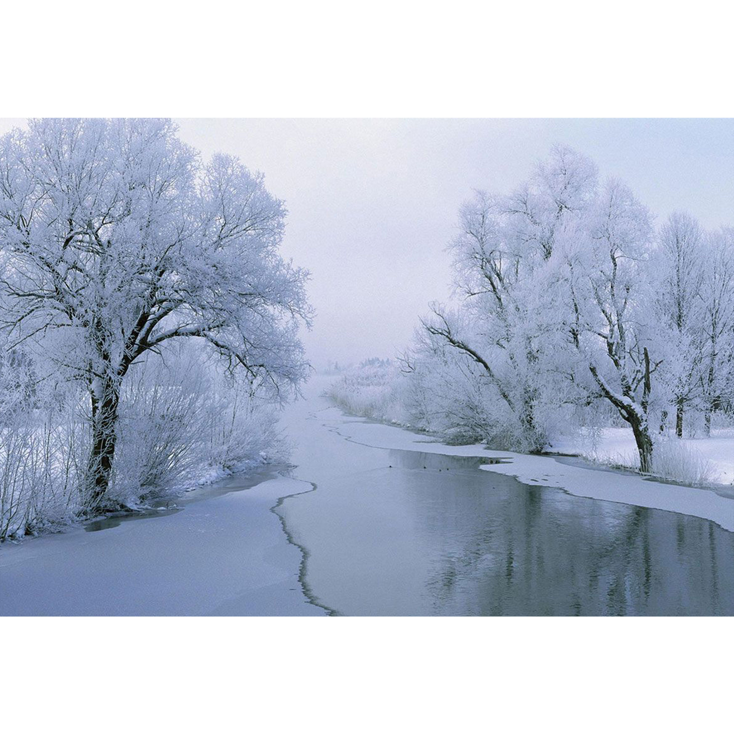 تابلو شاسی طرح منظره زمستان برف یخ آب درخت مدل T1434