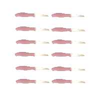 کارد میوه خوری بیوتی کد 1208 بسته 12 عددی