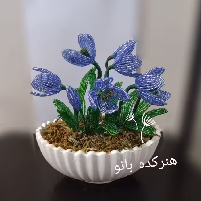 گل زعفران منجوقی 
