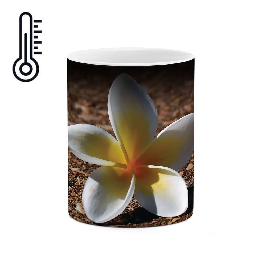 ماگ حرارتی طرح گل مدل mgh04550