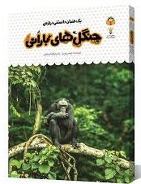 یک فنجان دانستنی (33) درباره جنگل های بارانی - کتابفروشی کوچه کتاب