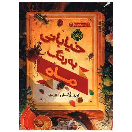 کتاب خیابانی به رنگ ماه (پرتقال) اثر کارن فاکسلی