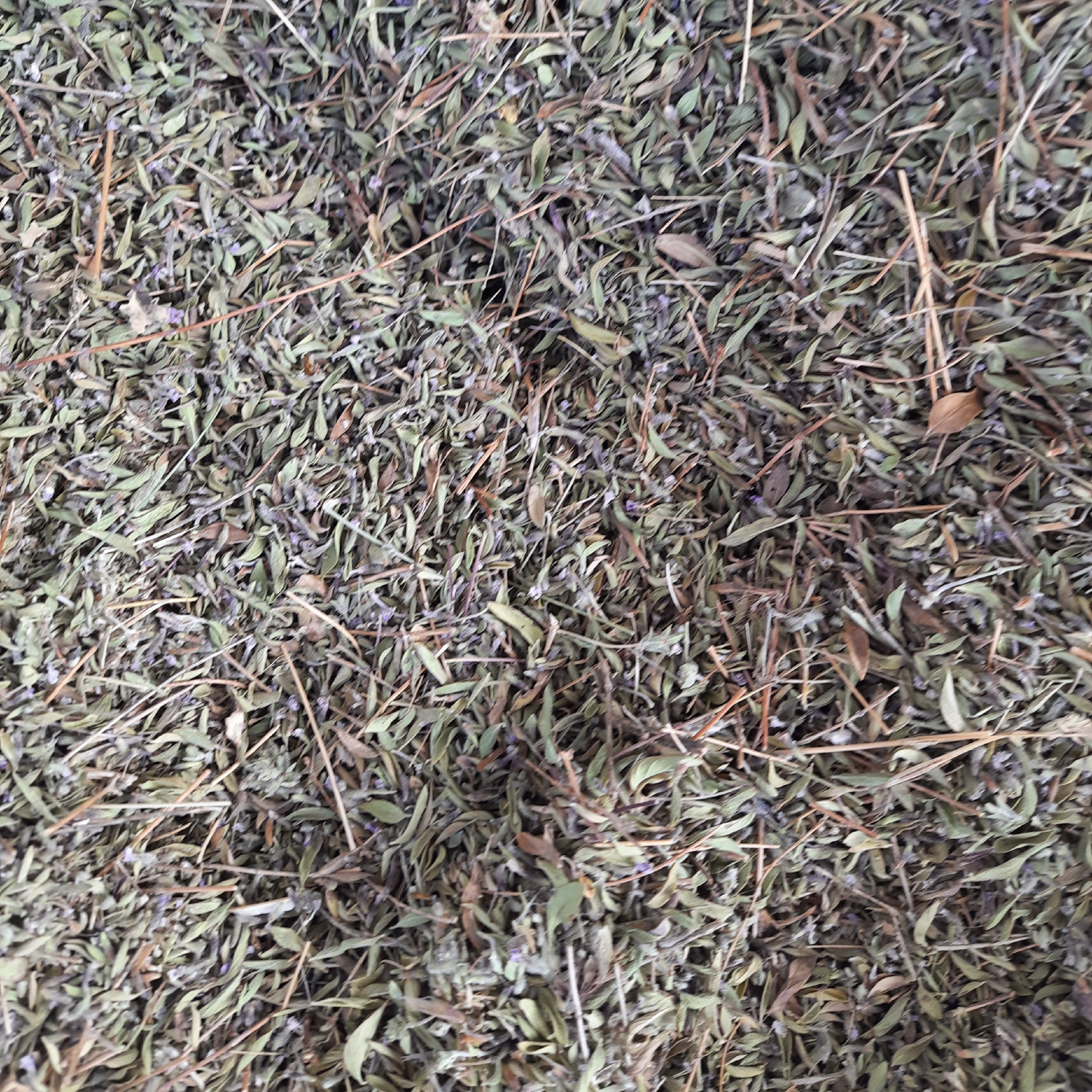 آویشن کوهی  بسیارمعطر 40 گرمی