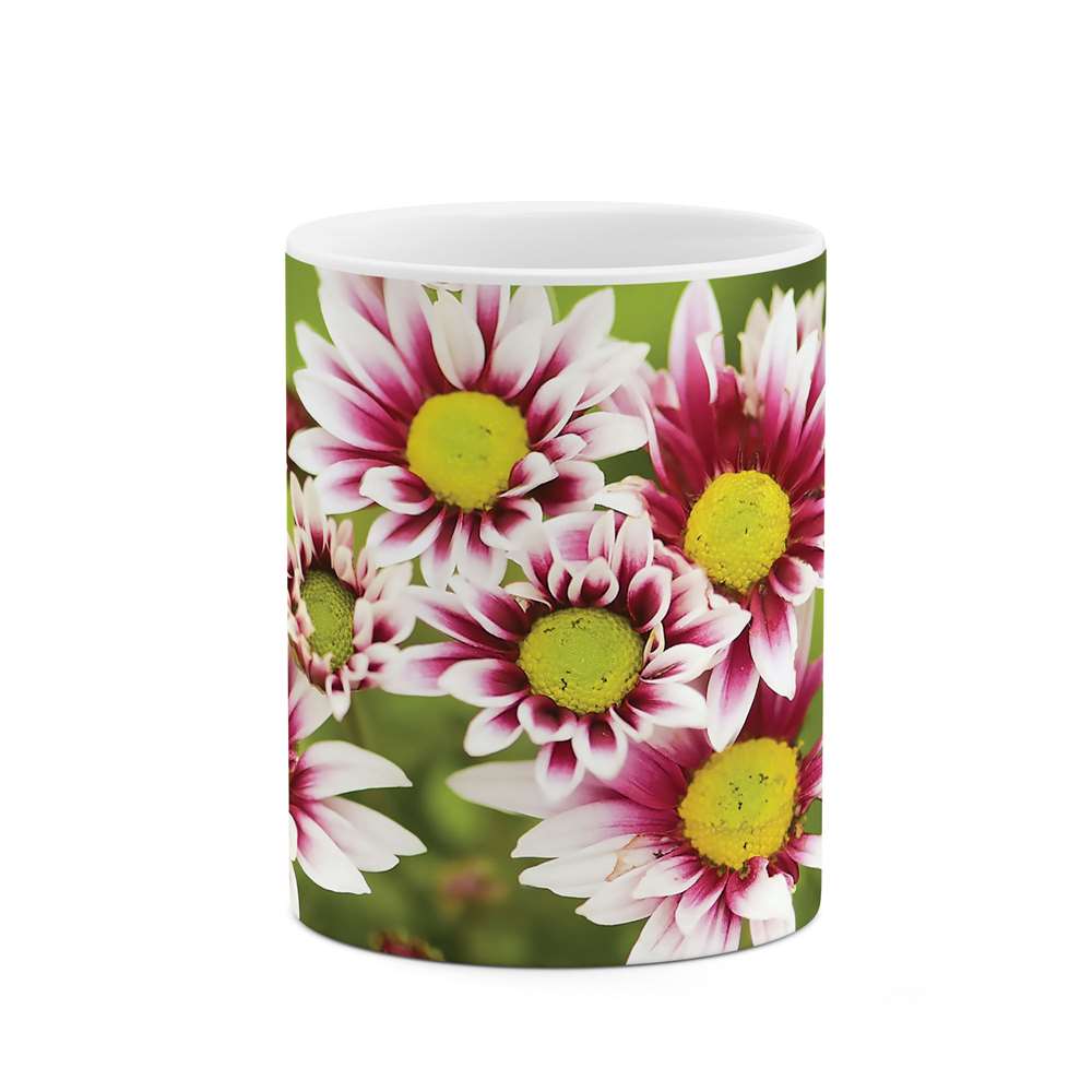 ماگ طرح گل مدل 04789