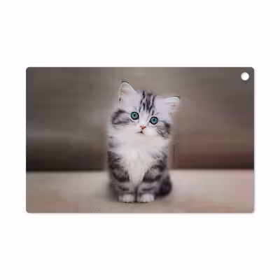 برچسب پوششی ماهوت مدل Cat-2 مناسب برای تبلت سونی Xperia Z2 Tablet LTE 2014