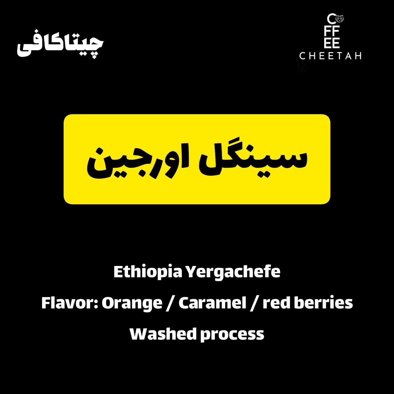 قهوه سینگل اورجین اتیوپی یرگاچف