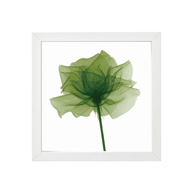 تابلو کد T-0306w | دنیای قاب