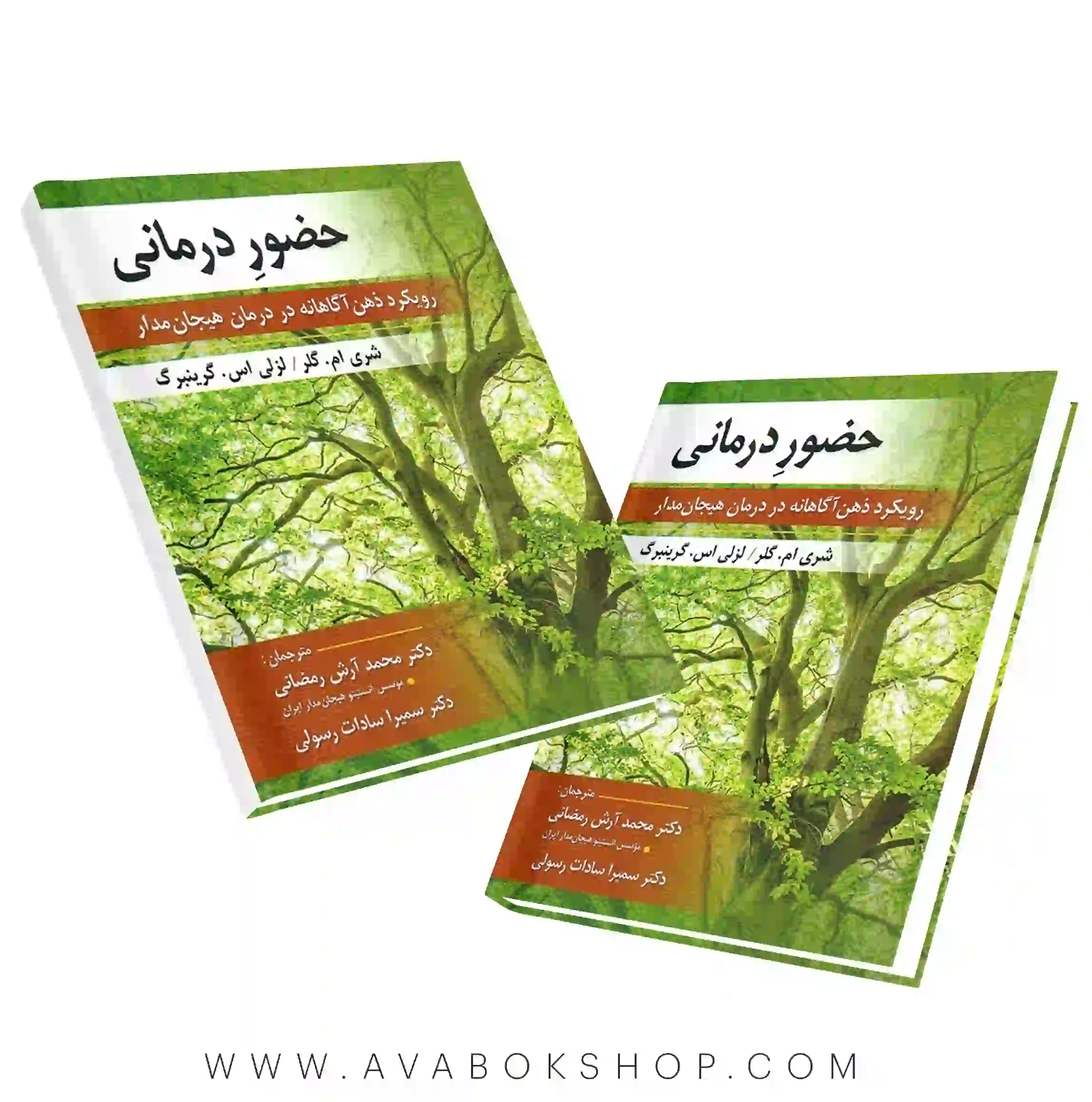 کتاب حضور درمانی انتشارات ارسباران
