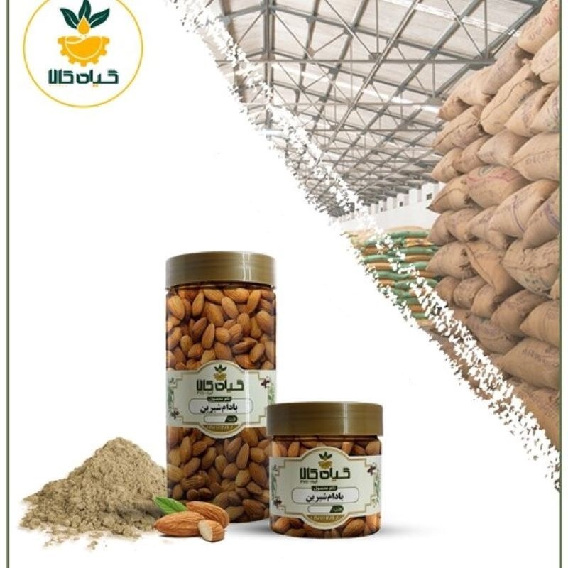 مغز بادام شیرین با کیفیت عالی، بار امسالی و تازه (65 گرمی)