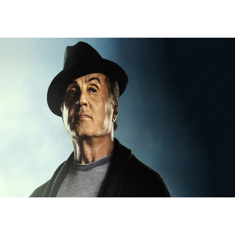 تابلو شاسی مدل بازیگر سیلوستر استالونه راکی T6288 | دنیای قاب