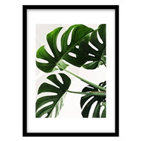 قیمت و خرید تابلو دکوراتیو مدل عکاسی مینیمال برگ کد 1361