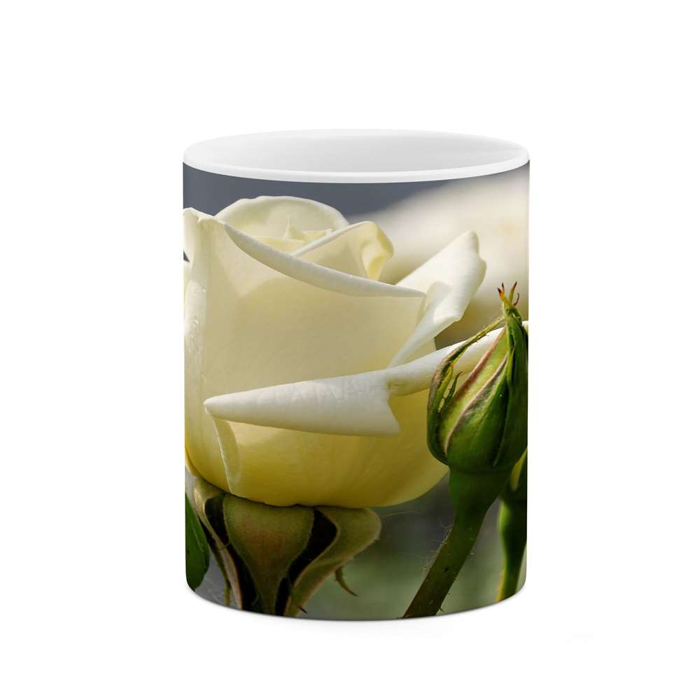 ماگ کاکتی طرح گل مدل mgs15600