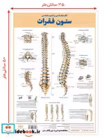 قیمت و خرید کتاب کالبد شناسی ستون فقرات | ایده بوک
