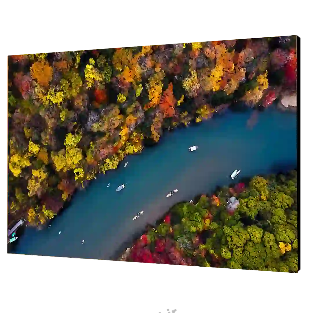 تابلو شاسی جنگل و دریا مدل T135