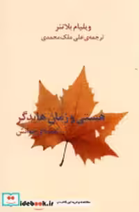 قیمت و خرید کتاب هستی و زمان هایدگر راهنمای خوانش شب خیز | ایده بوک