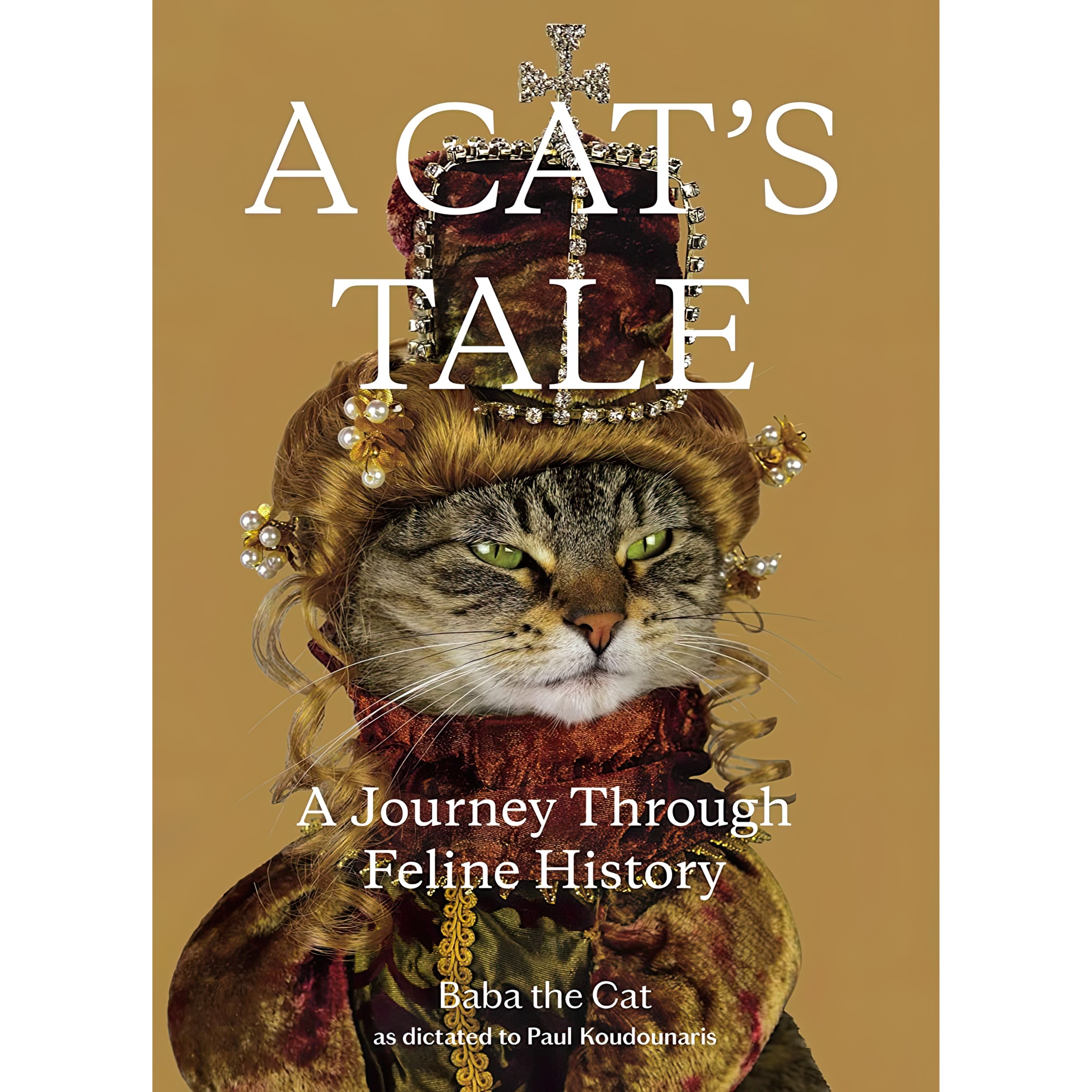 کتاب A Cat,s Tale اثر Dr Paul Koudounaris and Baba the Cat انتشارات Henry Holt and Co
