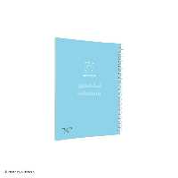 دفتر 100 برگ مجلد سری پاستلی Mellow پیتیکو کد 344