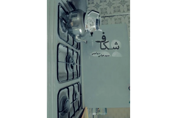 زندگی‌نگاره‌ی «شکاف»، یک تجربه از شروع یک شیوع در رؤیاست. - کتابخانه مجازی واتیکان