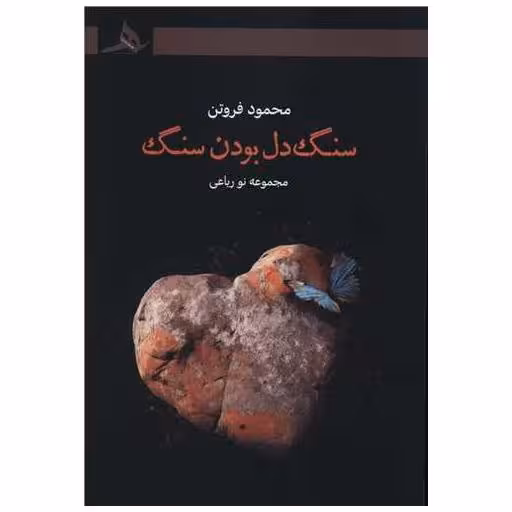 کتاب سنگ دل بودن سنگ اثر محمود فروتن