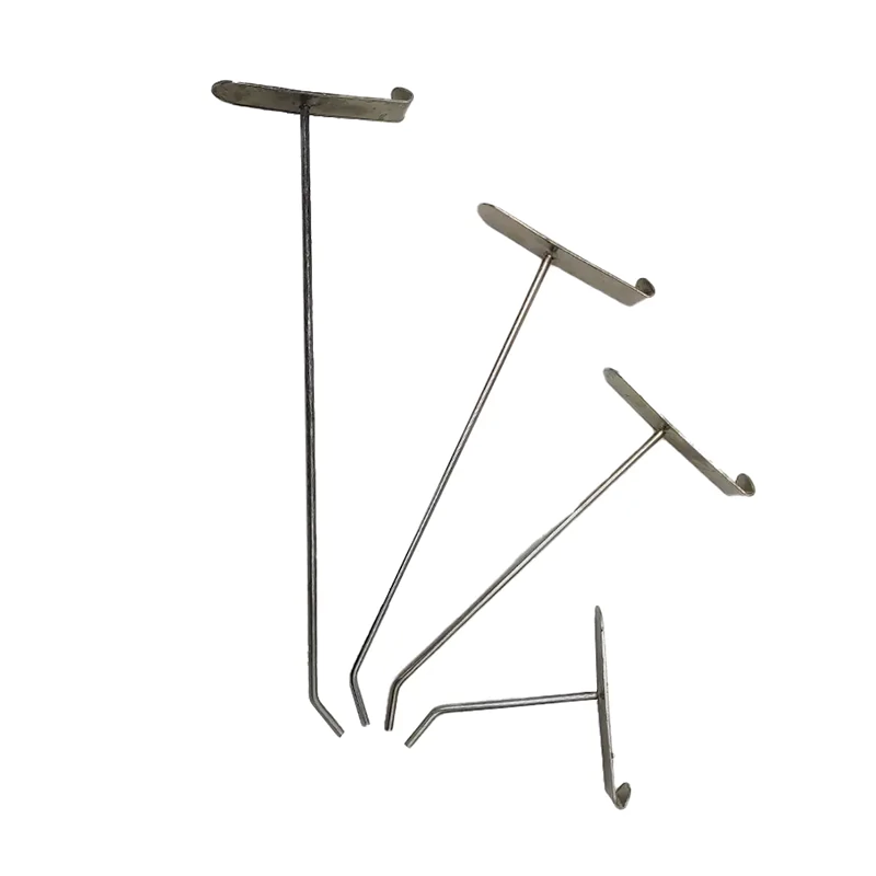 شاخک رگال توری