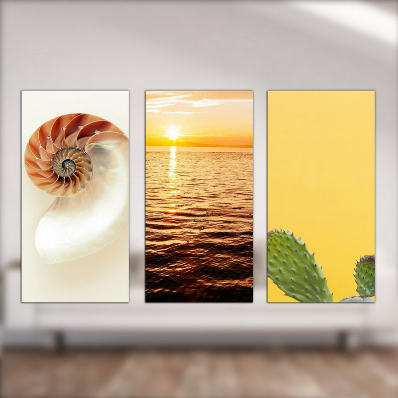 تابلو شاسی دنیای قابطرح حلزون و کاکتوس و دریا مدل SH-541 مجموعه 3 عددی | دنیای قاب