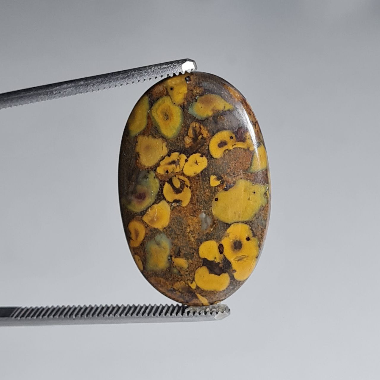 سنگ جاسپر میوه ای بیضی شکل 3287