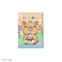 دفتر مشق 80 برگ حاشیه‌دار آزاد