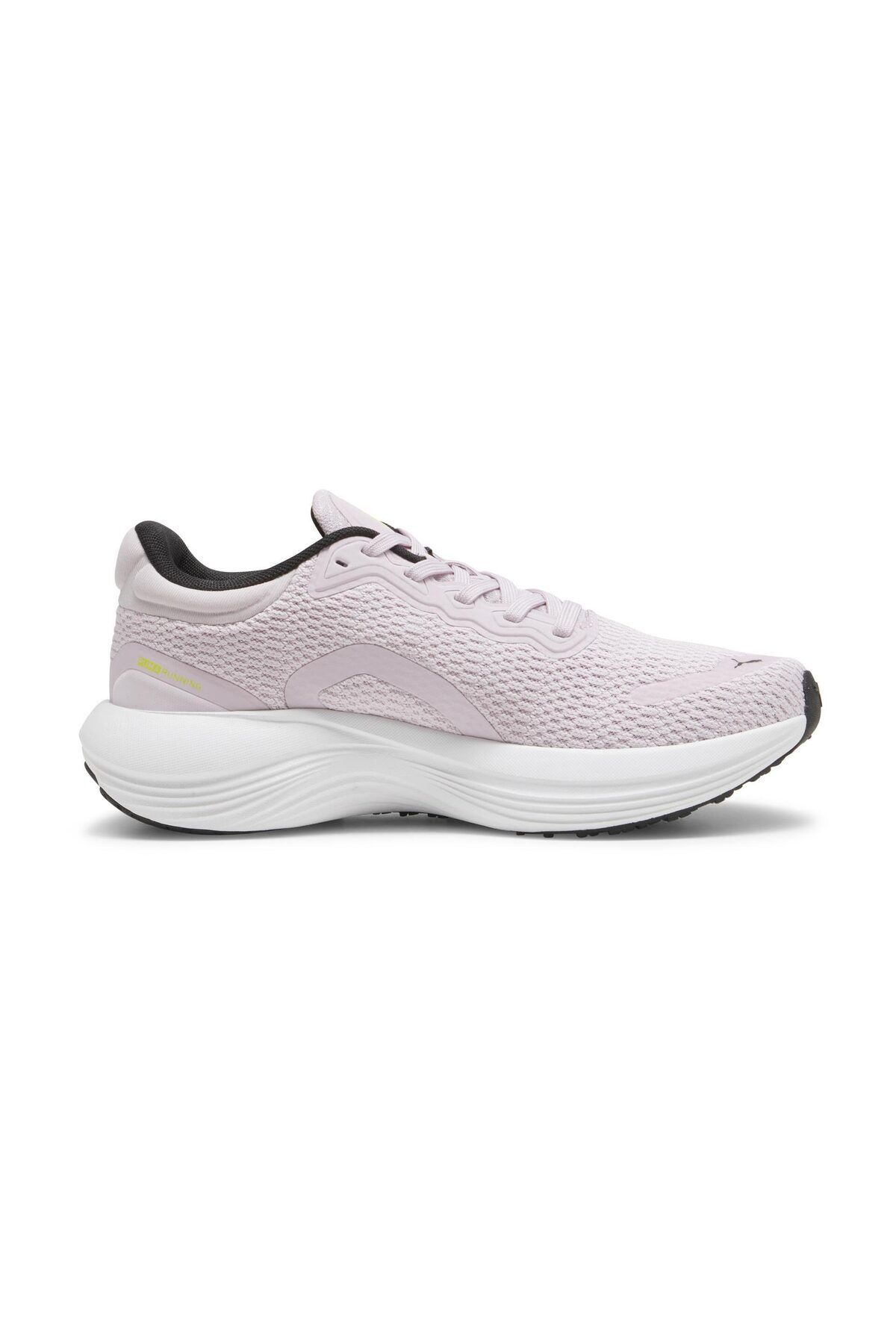کفش دو و تمرین بنفش مردانه زنانه BOOT LOW FOR اورجینال Puma