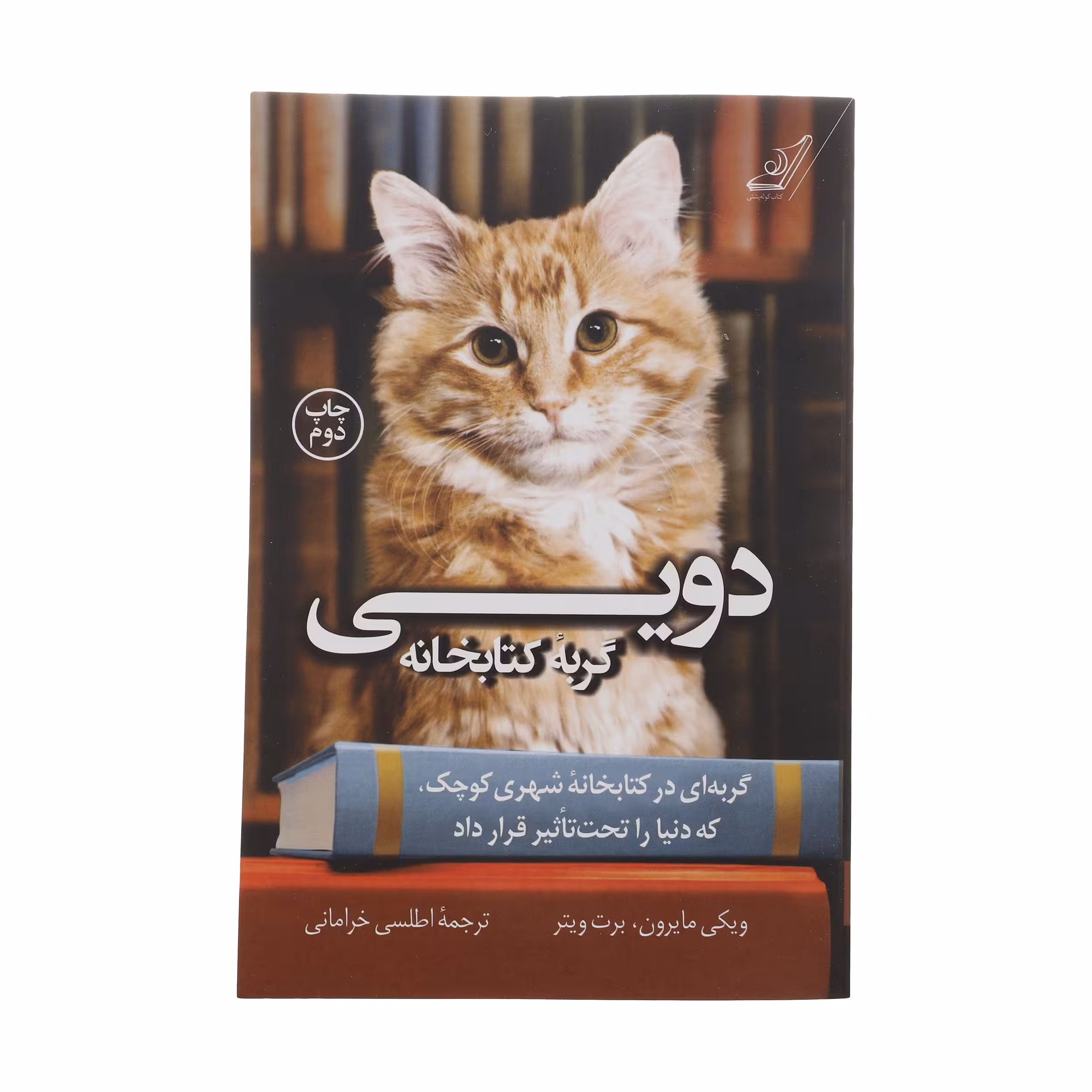 کتاب دویی گربه کتابخانه اثر ویکی مایرون و برت ویتر انتشارات کتاب کوله پشتی