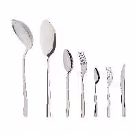 سرویس قاشق و چنگال 57 پارچه پاشا مدل روما