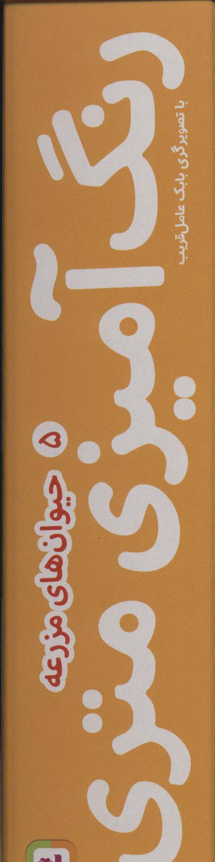رنگ آمیزی متری 5 (حیوان های مزرعه)،همراه با مدادرنگی (باجعبه) - ناشربوک | خرید آنلاین کتاب
